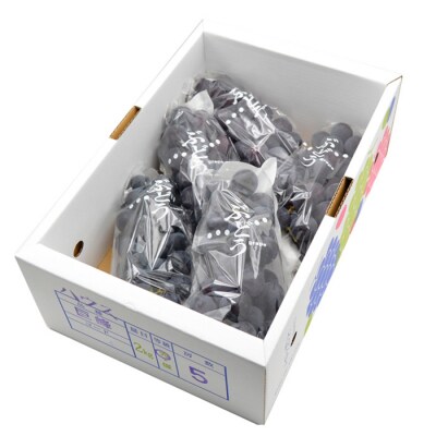 山形のぶどう 巨峰 秀品 約2kg[8月中旬～9月中旬お届け]【令和8年産先行予約】FS24-651