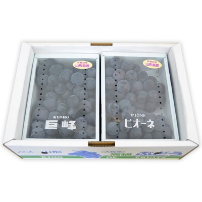 山形のぶどうセット ピオーネ・巨峰 [9月中旬～10月中旬]【令和8年産先行予約】FS24-572 