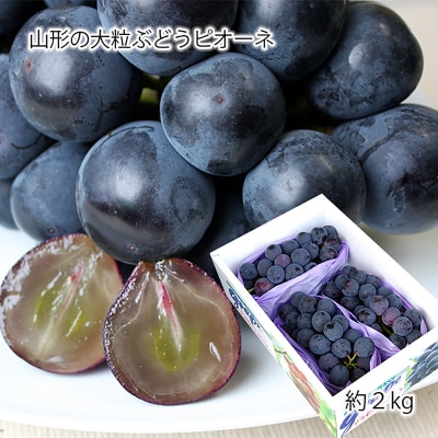 山形のぶどうピオーネ 秀品 約2kg[9月発送] 【令和8年産先行予約】FS24-649
