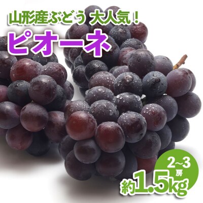 山形産 ぶどう 大 ピオーネ 約1.5kg
