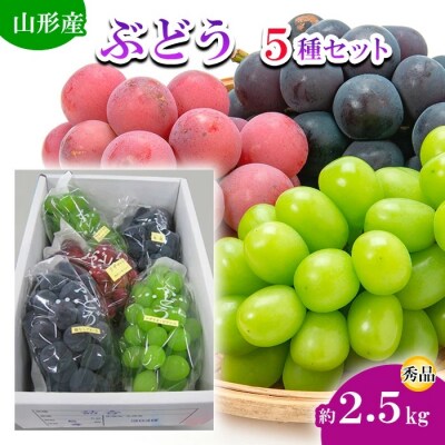 ぶどう 5種セット 約2.5kg