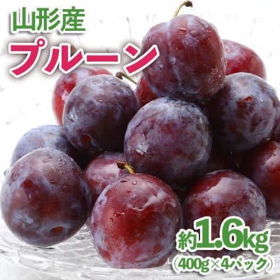 山形産 プルーン 約1.6kg(400g×4パック) 【令和8年産先行予約】FU23-535