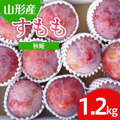 山形市産 すもも(秋姫) 1.2kg(7～12玉) 【令和8年産先行予約】FU22-026 く