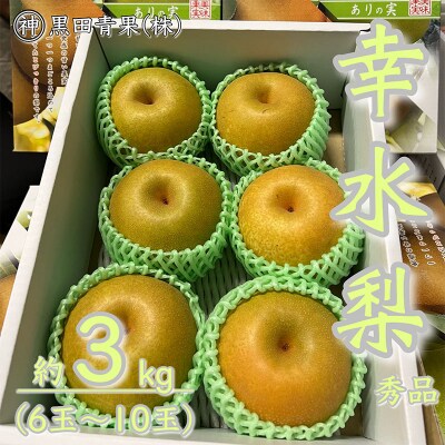 山形県産 幸水 梨 秀品 約3kg(6～10玉) 【令和8年産先行予約】FU23-442 