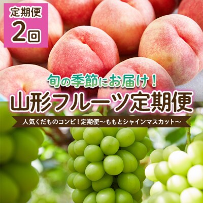 【定期便2回】人気くだものコンビ!～ももとシャインマスカット～【令和8年産先行予約】FS25-601