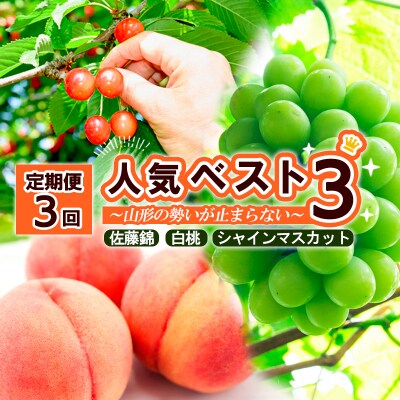 【定期便3回】人気フルーツベスト3便【令和8年産先行予約】FS25-620 