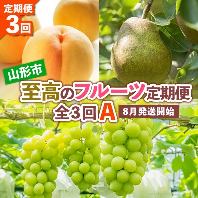 【定期便3回】山形市至高のフルーツ定期便A 8月発送開始【令和8年産先行予約】FS24-761 