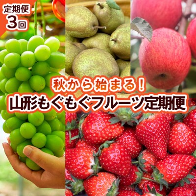 【定期便3回】秋から始まる!山形もぐもぐフルーツ便 【令和8年産先行予約】FU23-926 