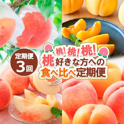 【定期便3回】桃!桃!桃!桃好きな方への食べ比べ定期便【令和8年産先行予約】 FS24-017