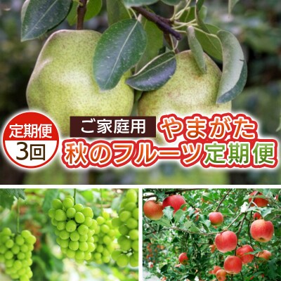 【定期便3回】ご家庭用 やまがた秋のフルーツ定期便  【令和8年産先行予約】FS25-695