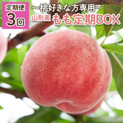 【定期便3回】～桃好きな方専用～もも定期BOX～ 【令和8年産先行予約】FU22-019 