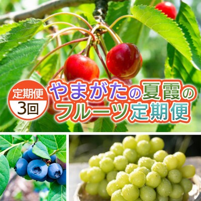 【定期便3回】やまがた　夏霞のフルーツ定期便  【令和8年産先行予約】FS25-703