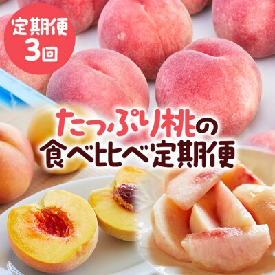 【定期便3回】たっぷり桃の食べ比べ定期便 【令和8年産先行予約】FS23-768 