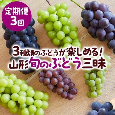 【定期便3回】3種類のぶどうが楽しめる!山形 旬のぶどう三昧 【令和8年産先行予約】FS25-659