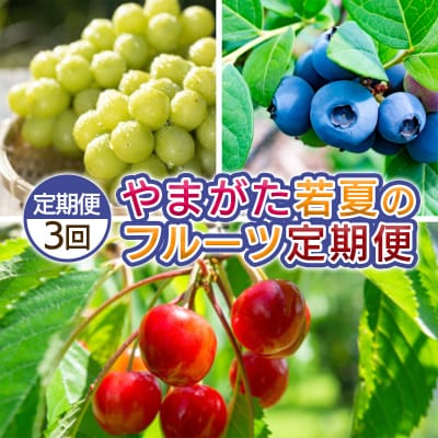 【定期便3回】やまがた 若夏のフルーツ定期便  【令和8年産先行予約】FS25-700 