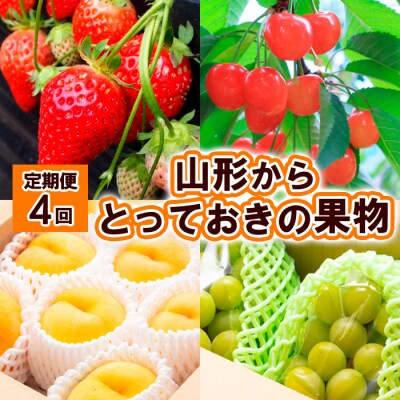 【定期便4回】山形からとっておきの果物 【令和8年産先行予約】FS25-611