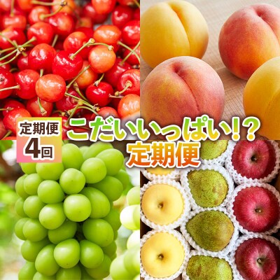 【定期便4回】こだいいっぱい!? 定期便 【令和8年産先行予約】FS25-652