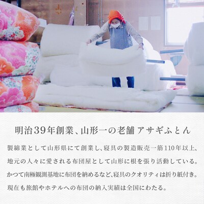 コットン 掛けふとん [150cm×210cm] FY25-371