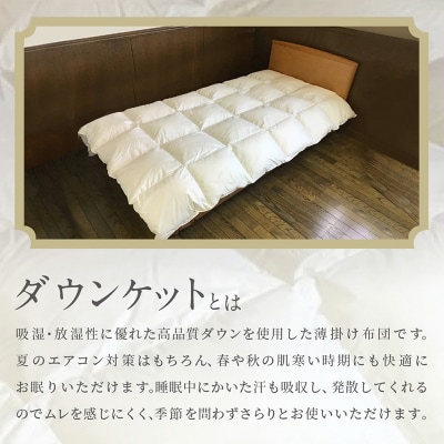 羽毛肌掛けふとん シングル[150cm×210cm] FY25-361