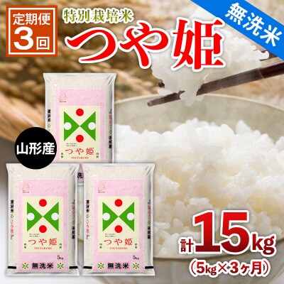 【定期便3回】山形産 特別栽培米 【無洗米】つや姫 5kg×3ヶ月(計15kg) FZ26-894