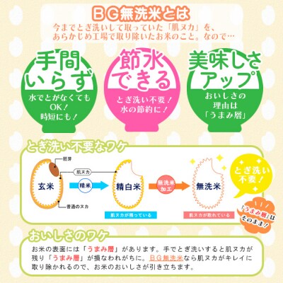【定期便3回】山形産 特別栽培米 【無洗米】つや姫 5kg×3ヶ月(計15kg) FZ26-894