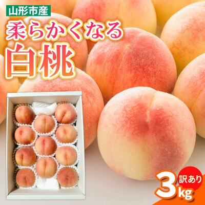 【訳あり】柔らかくなる 白桃 優品 3kg (8個～12個)【令和8年産先行予約】FS25-144