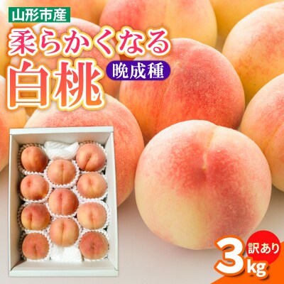 【訳あり】柔らかくなる 白桃 優品 晩成種 3kg (7個～14個)FS25-146