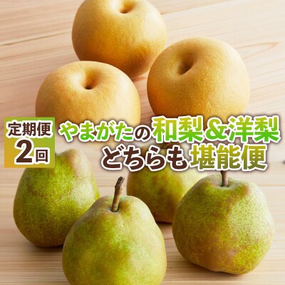 【定期便2回】やまがたの和梨&洋梨どちらも堪能便【令和8年産先行予約】FS25-138