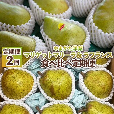 【定期便2回】やまがた洋梨 マリゲットマリーラ&ラフランス食べ比べ定期便 FS25-140