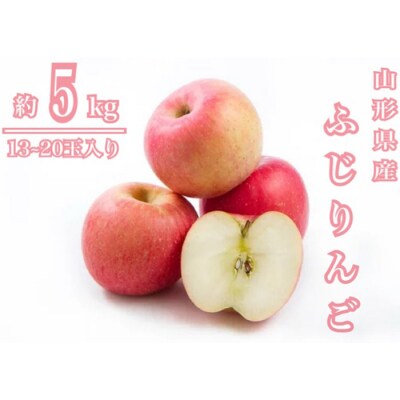 山形産 ふじりんご 秀 約5kg(13～20玉)【令和8年産先行予約】FS25-796