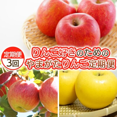 【定期便3回】りんご好きのためのやまがたりんご定期便【令和8年産先行予約】FS25-749
