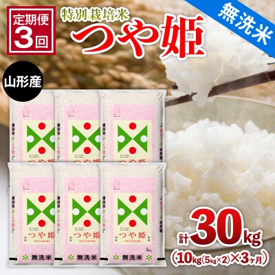 【定期便3回】山形産 特別栽培米【無洗米】つや姫10kg (5kg×2)x3ヶ月 FZ26-772
