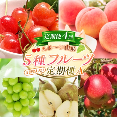 【定期便4回】☆んま～い山形☆5種フルーツ!4回楽しむ!定期便A FY25-473