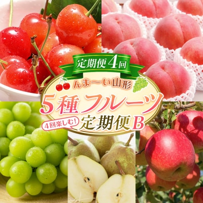 【定期便4回】☆んま～い山形☆5種フルーツ!4回楽しむ!定期便B FY25-476