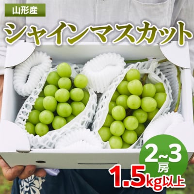 山形市産 シャインマスカット 秀1.5kg以上(2~3房) FZ22-331