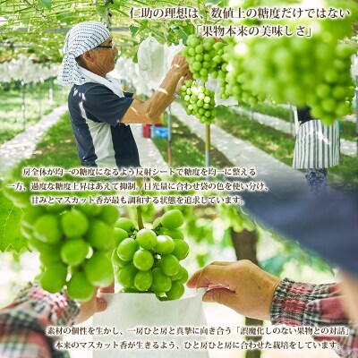 山形市産 シャインマスカット 秀1.5kg以上(2~3房) FZ22-331