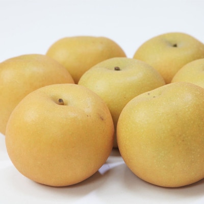 山形産 和梨(幸水) 秀 3kg(6～12玉) 【令和8年産】FU22-012