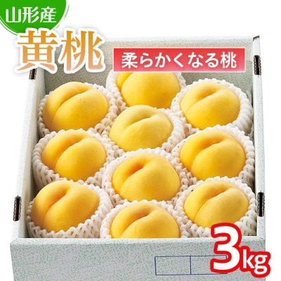  山形の桃(黄桃) 3kg(6～12玉)(品種おまかせ)[柔らかくなる桃] FU22-179