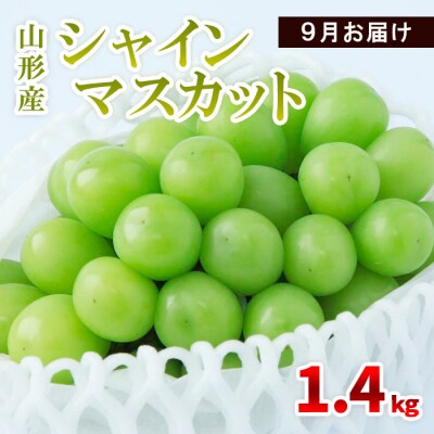 山形産 シャインマスカット 1.4kg(2～4房) 9月お届け 【令和8年産】FS23-855