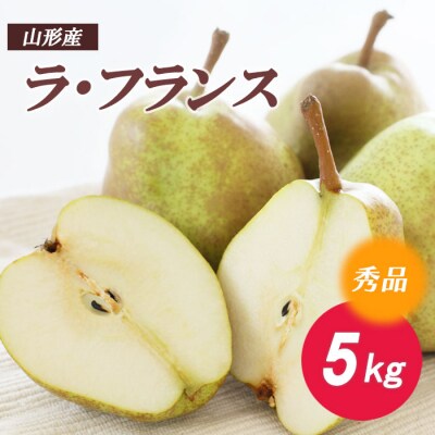ラ・フランス 秀5kg  FZ18-133