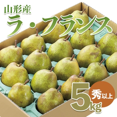 山形市産 ラ・フランス 秀以上 5kg(18～20玉) FZ21-931