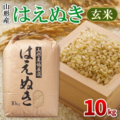 はえぬき 玄米 10kg