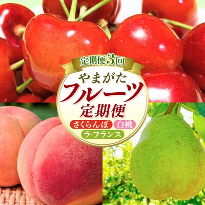 【定期便3回】やまがたフルーツ定期便 さくらんぼ /白桃/ラフランス FY26-075