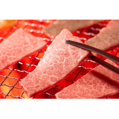 仙台牛 A5 カルビ 焼肉用 霜降り 赤身 500g [からくわ精肉店 20563355]
