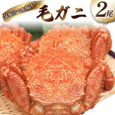 かに 毛がに ボイル 2尾 / さんりくみらい / 宮城県 気仙沼市 20564177]