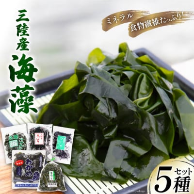 三陸産 海藻 5種セット ( わかめ 茎わかめ ひじき ふのり 昆布 ) [20564805]