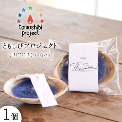 SHIBITACHI Shell Candle 1個 [ともしびプロジェクト 20563588]