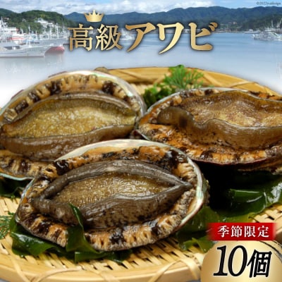 【期間限定発送】 三陸産 アワビ 10個 [さんりくみらい 宮城県 気仙沼市 20564206]