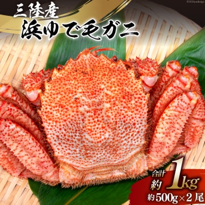かに 三陸産浜ゆで毛ガニ 約500g×2