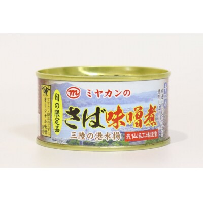 ＜定期便＞ さば味噌煮 総計72缶(175g×24缶)×3回 隔月 さば缶 20564485